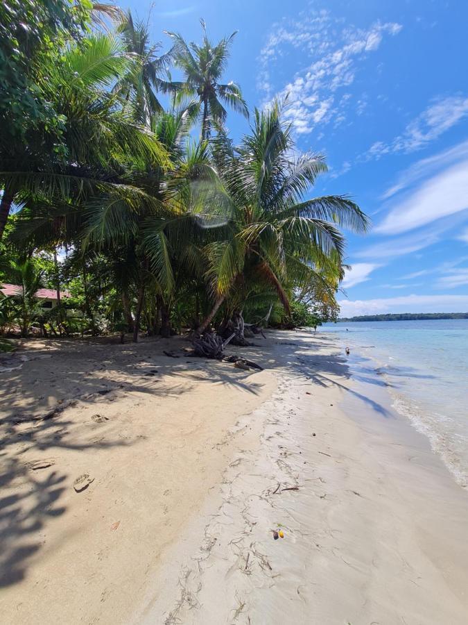 Drago Beach House - Private Beach Boca del Drago Exterior photo