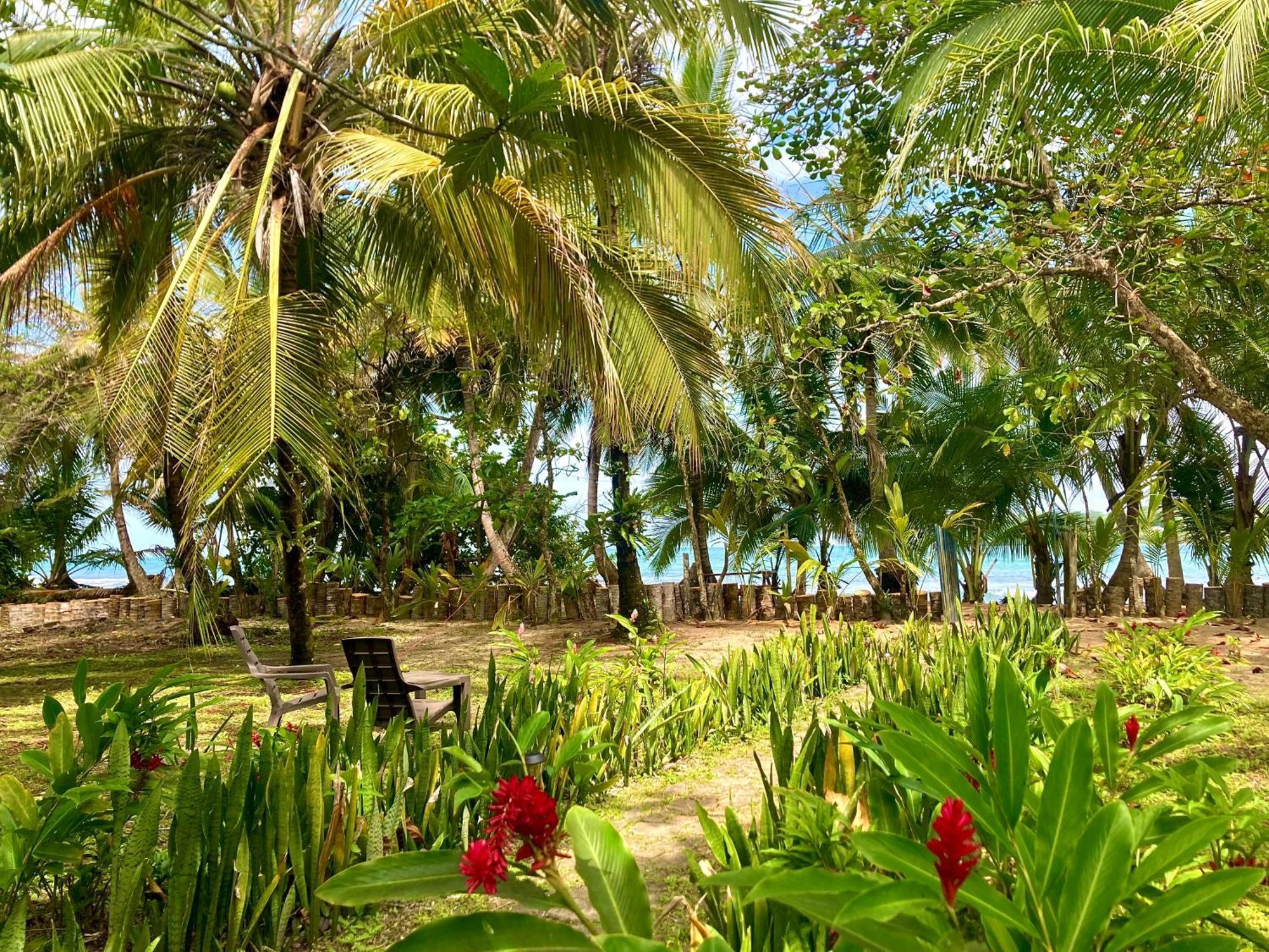 Drago Beach House - Private Beach Boca del Drago Exterior photo