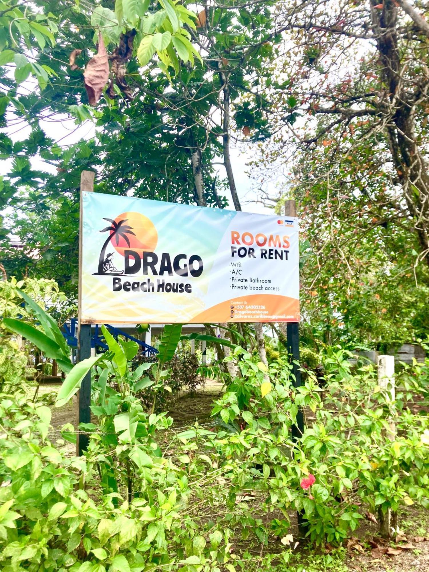 Drago Beach House - Private Beach Boca del Drago Exterior photo